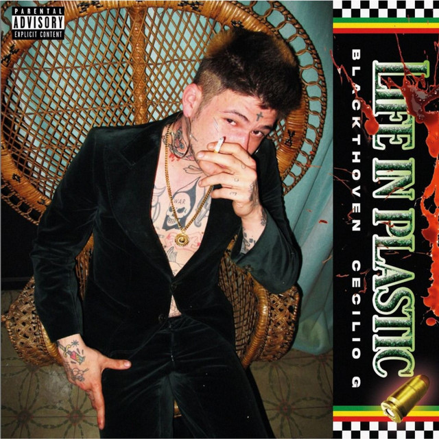 Life In Plastic album cover