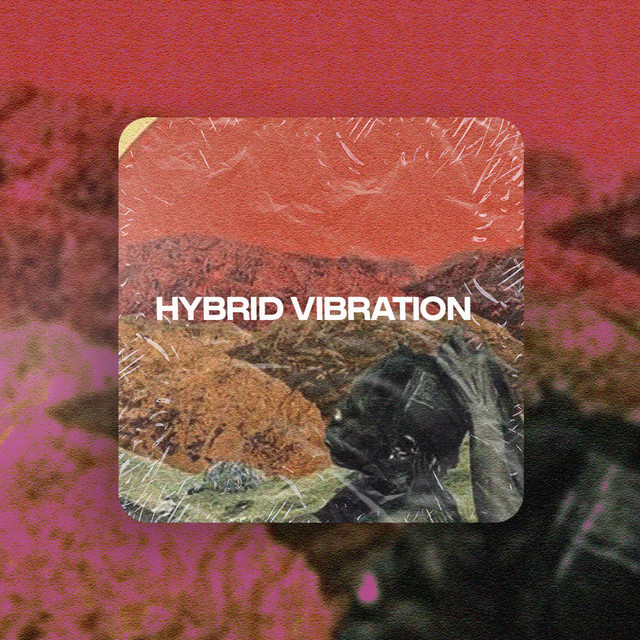 HYBRID VIBRATION album cover
