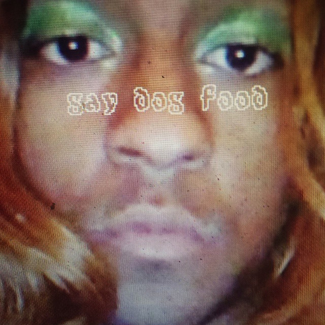 Gay Dog Food album cover