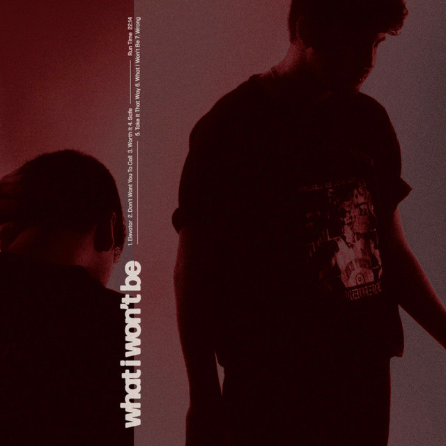 What I Won't Be album cover