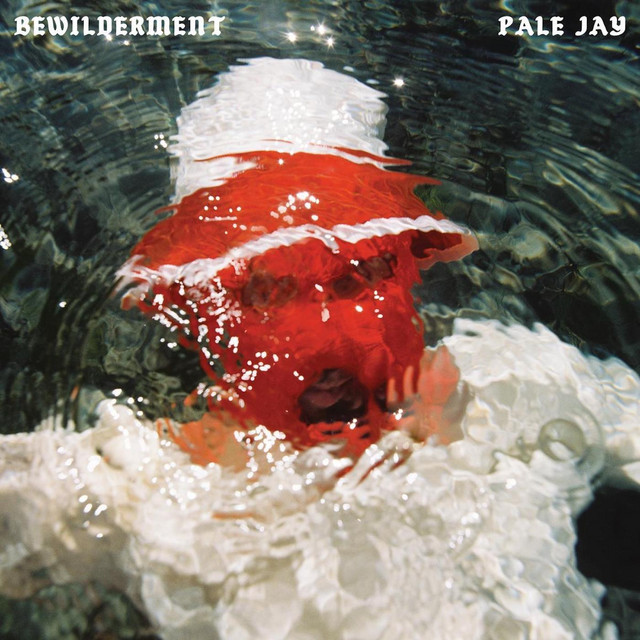 Bewilderment album cover