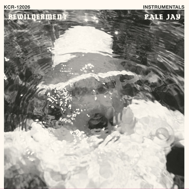 Bewilderment (Instrumentals) album cover