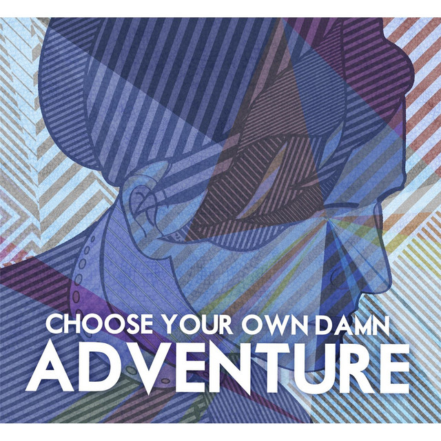 Choose Your Own Damn Adventure album cover