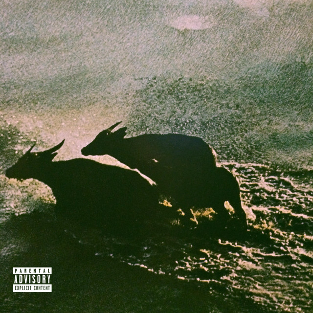 Wallah album cover