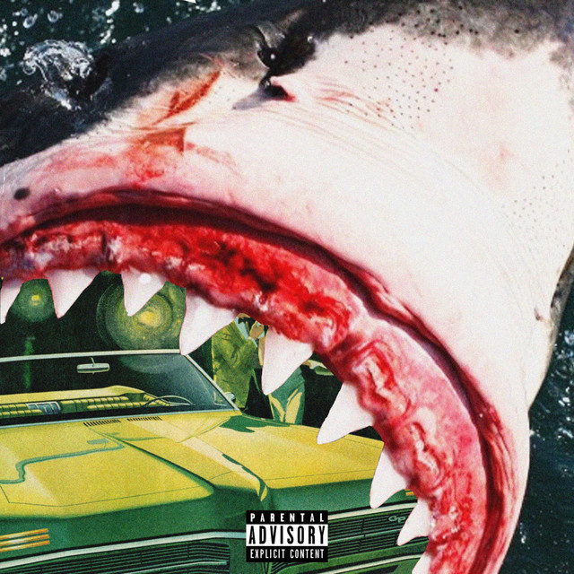 Shark Report album cover