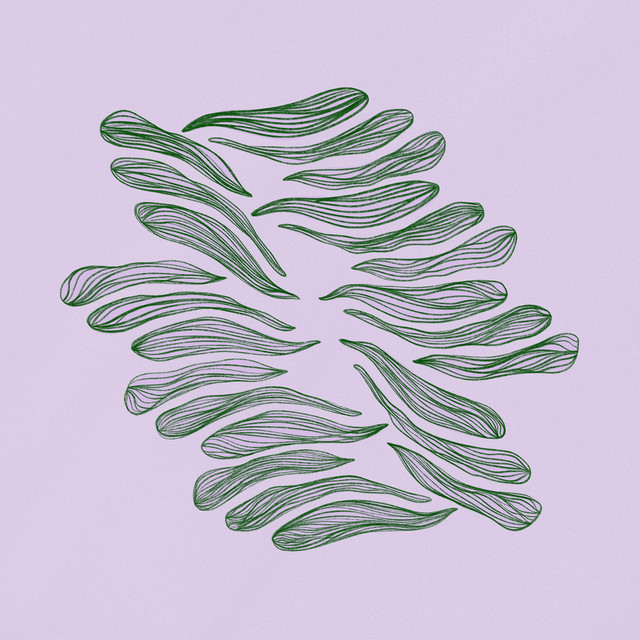Tones album cover