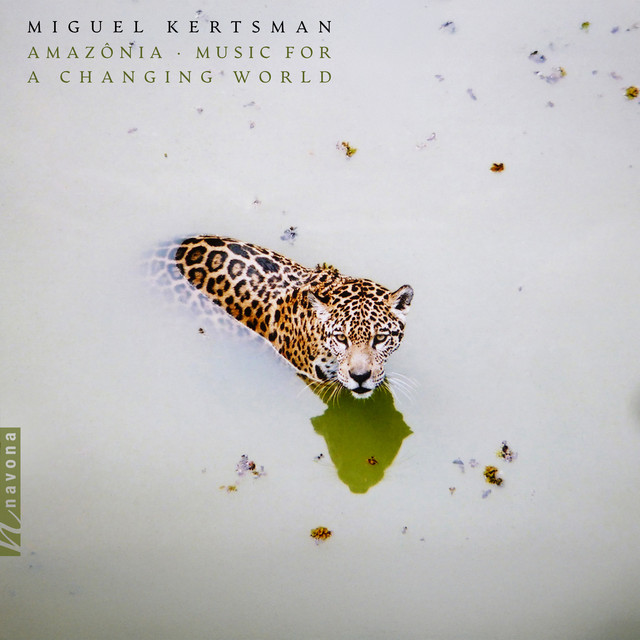 Amazônia: Music for a Changing World album cover
