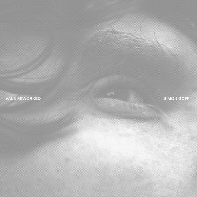 Vale Reworked album cover