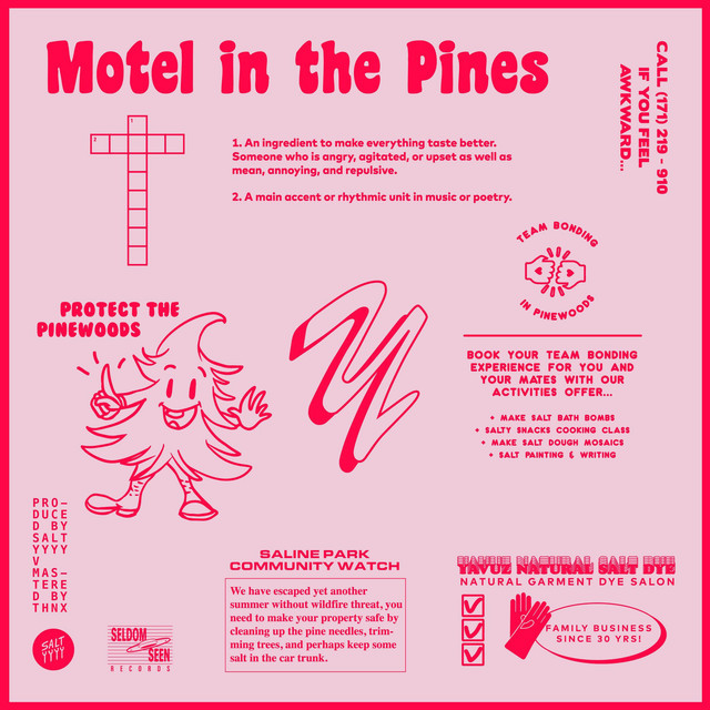 Motel In The Pines album cover