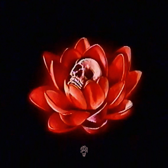 Born from Shade album cover