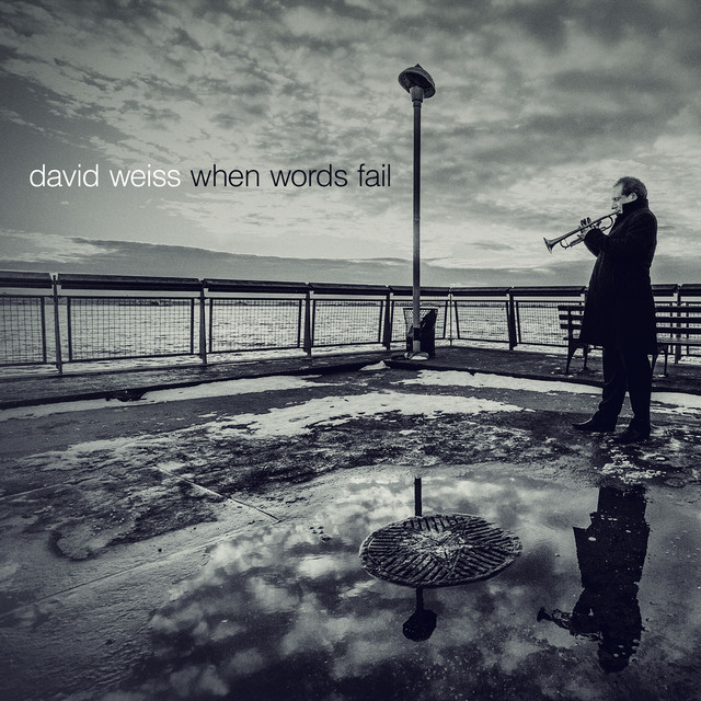 When Words Fail album cover