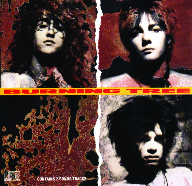 Burning Tree album cover