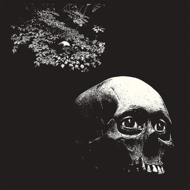 A Foul Form album cover