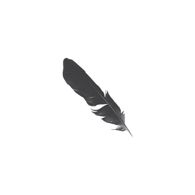 Black Feather album cover