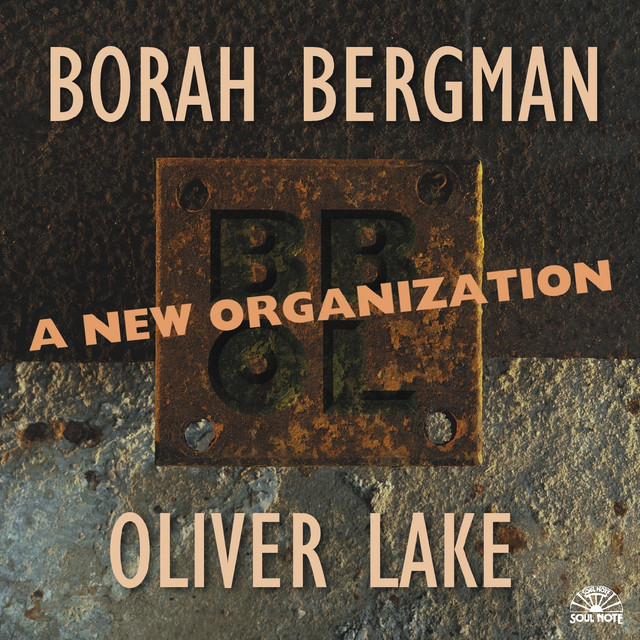 A New Organization album cover
