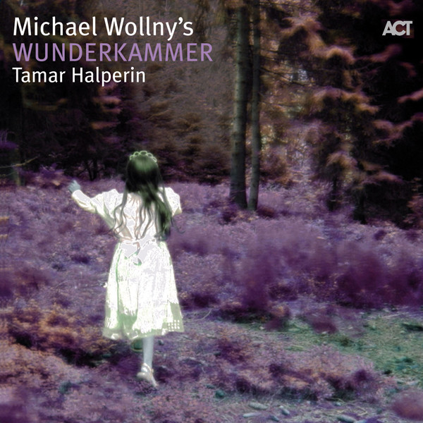 Michael Wollny's Wunderkammer album cover