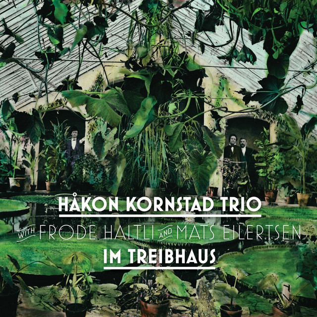 Im Treibhaus album cover