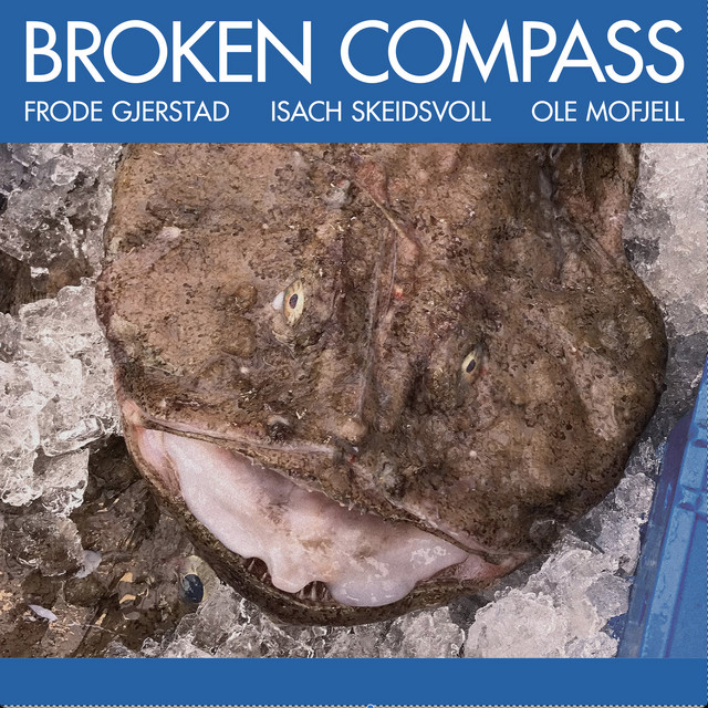 Broken Compass album cover