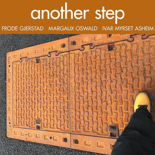 Another Step album cover