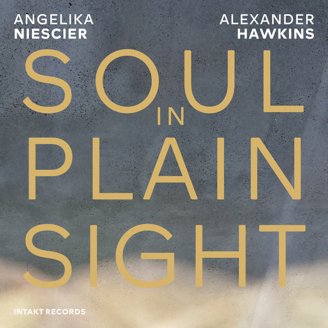 Soul in Plain Sight album cover