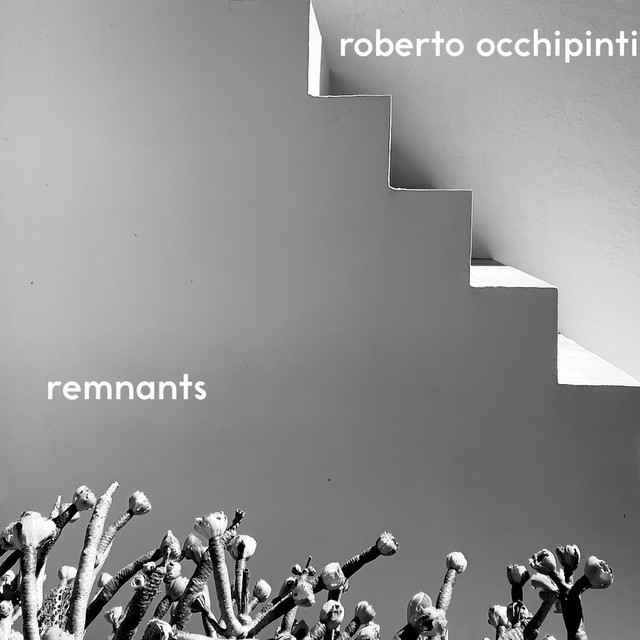 Remnants album cover