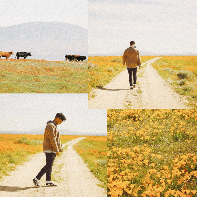 Isolated album cover