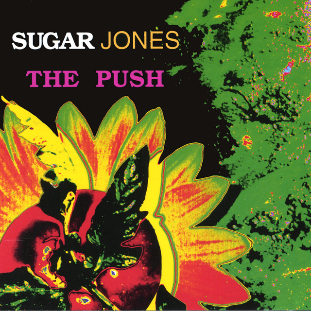 The Push album cover