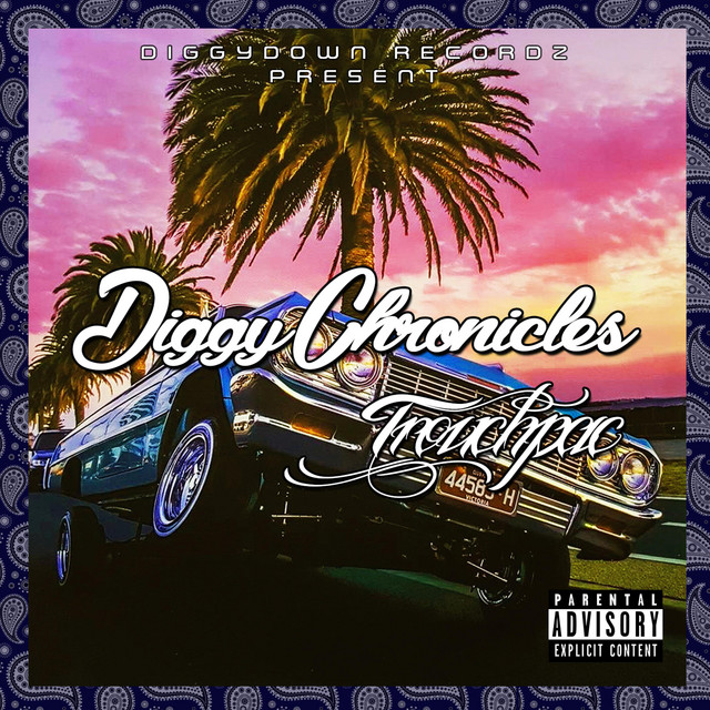 Diggy Chronicles album cover