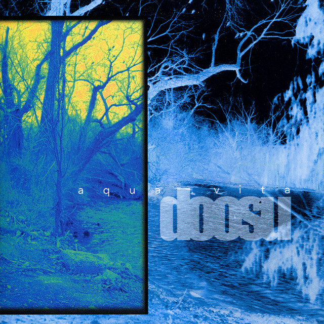 Aqua Vita album cover