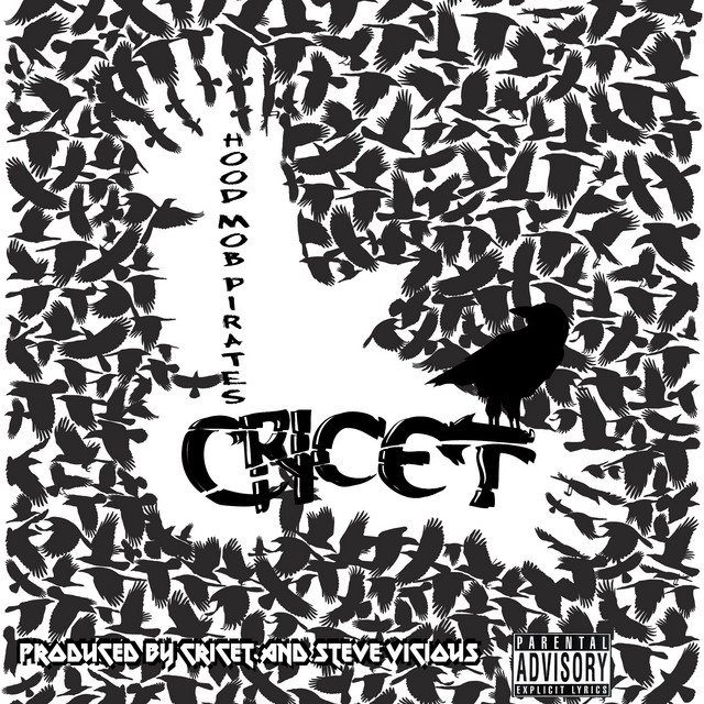Hood Mob Pirates album cover