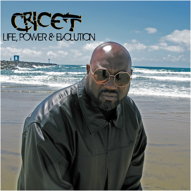 Life, Power & Evolution album cover