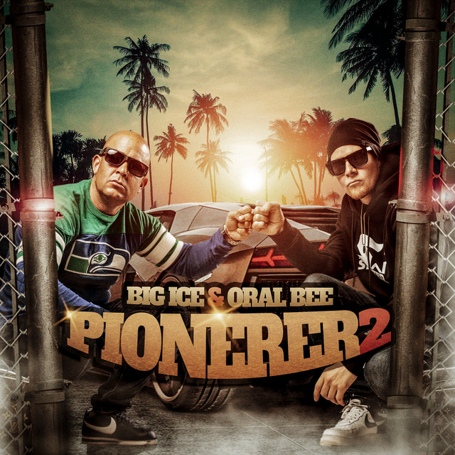 Pionerer 2 album cover