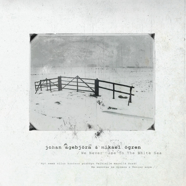 We Never Came to the White Sea album cover