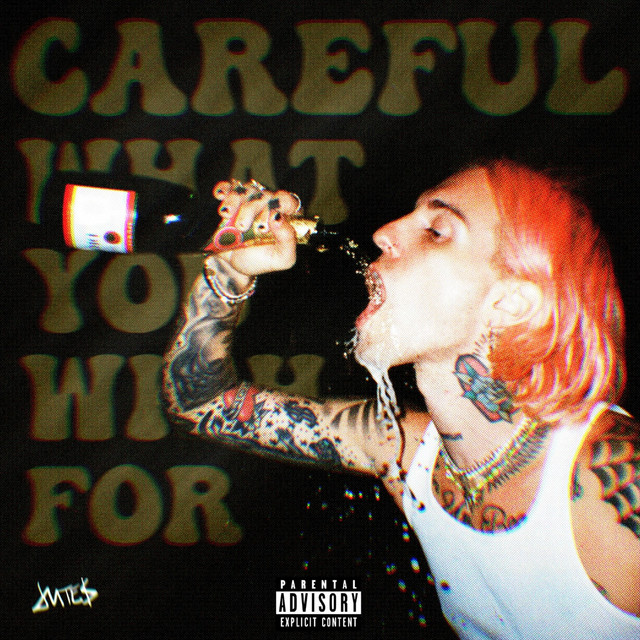 Careful What You Wish For album cover