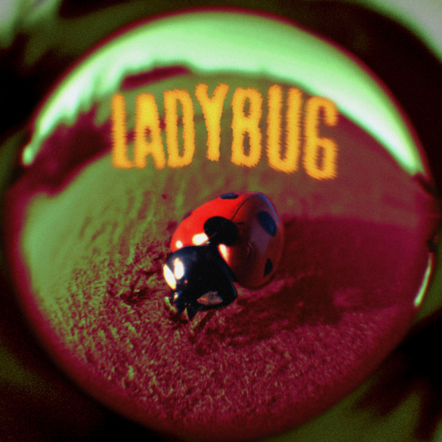 Ladybug album cover