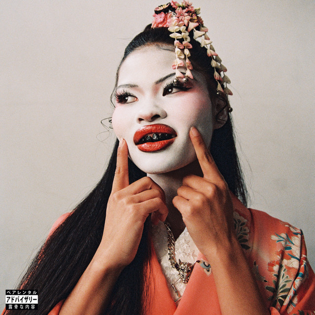 New Romantic album cover