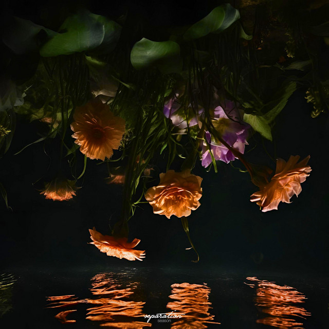 Beneath Still Waters album cover