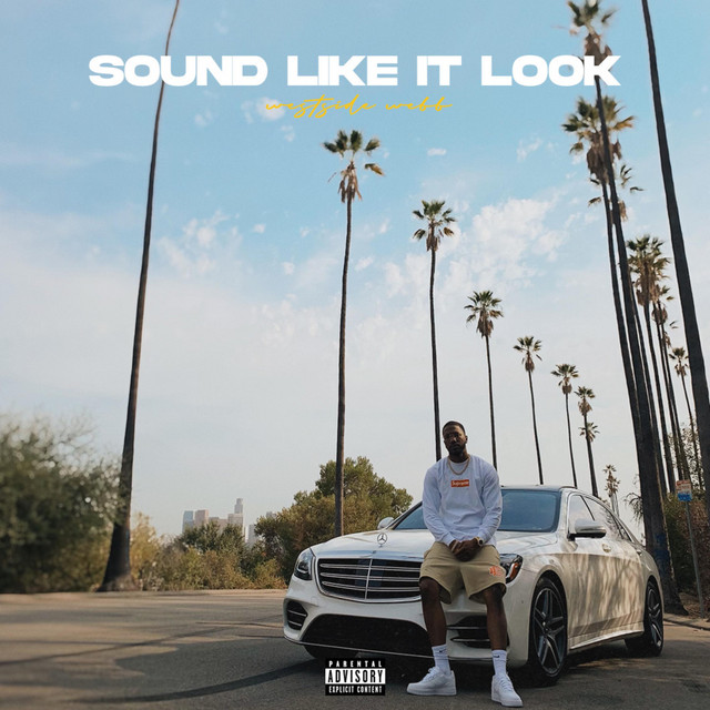 Sound Like It Look album cover
