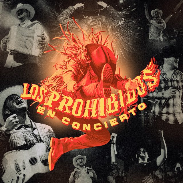 Los Prohibidos en Concierto (En Vivo) album cover