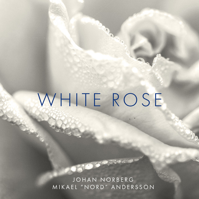 White Rose album cover