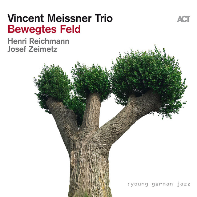Bewegtes Feld album cover