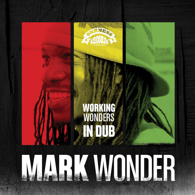 Working Wonders in Dub album cover