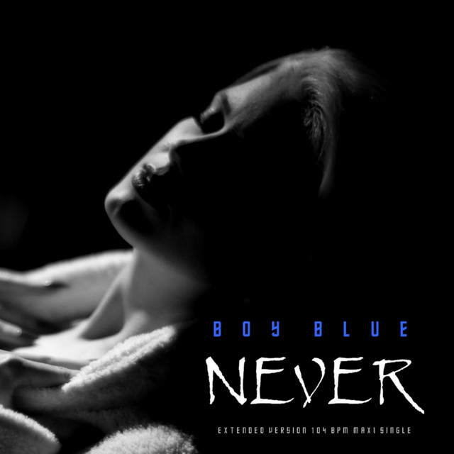 Never album cover