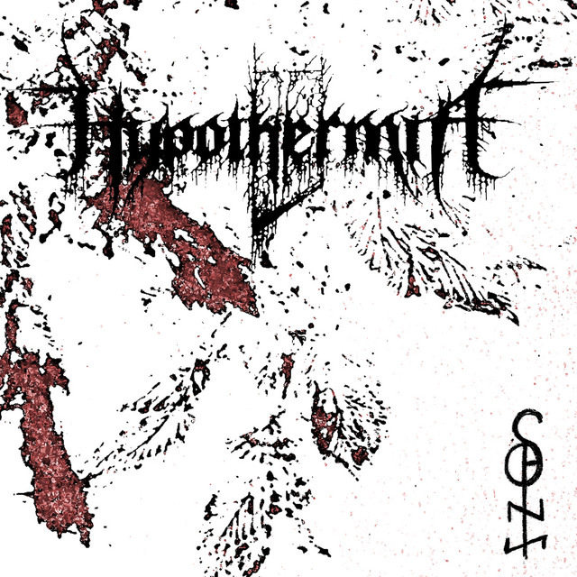 Skogens Hjärta album cover