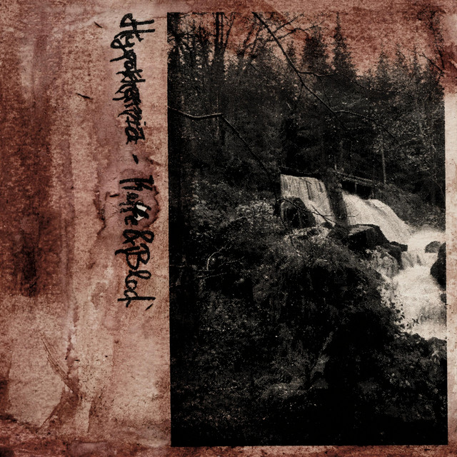 Kaffe & Blod album cover