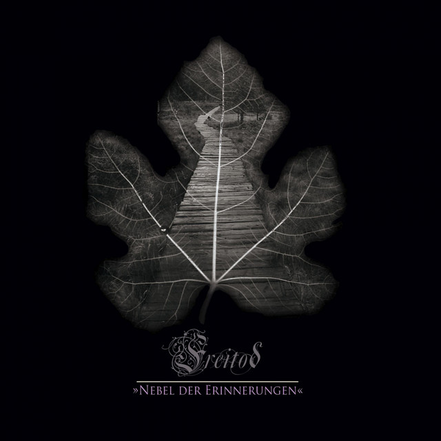 Nebel der Erinnerungen album cover