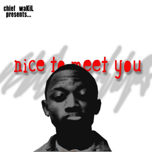 Nice to Meet You album cover