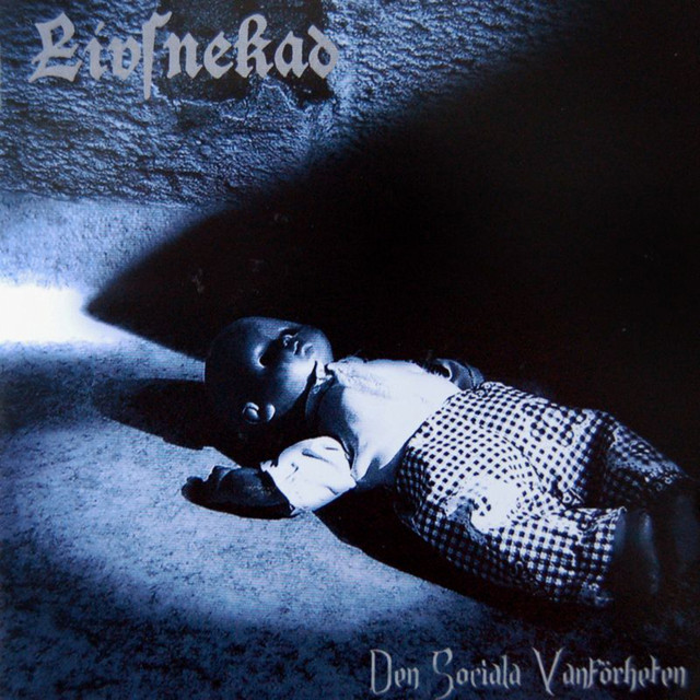 Den Sociala VanfRheten album cover