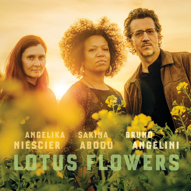 Lotus Flowers album cover