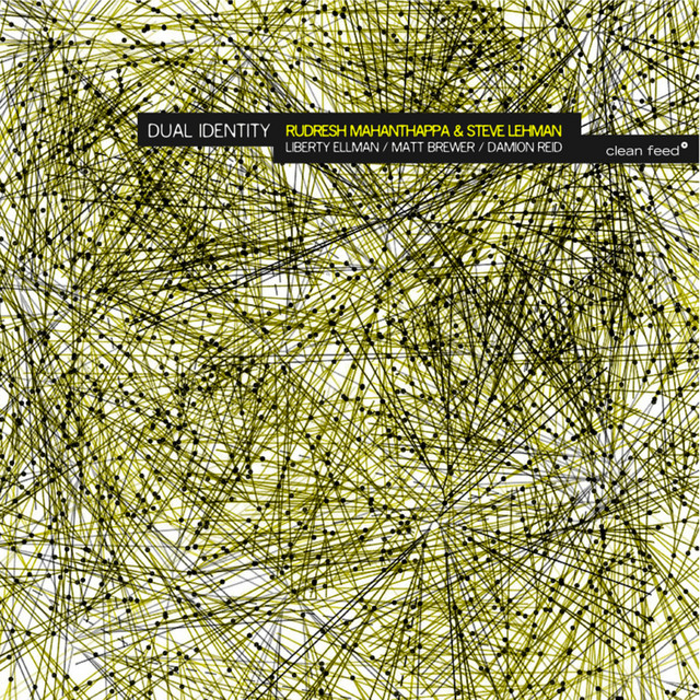 Dual Identity album cover